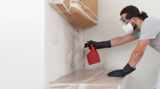 Professional Mold Inspection And Testing technician working in Lynbrook, NY
